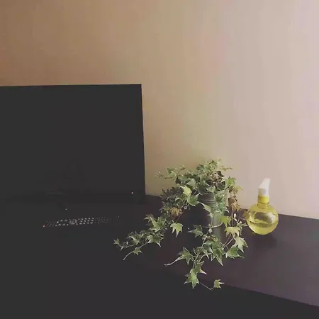 Stanza Nel Cuore Dei Tetti Di 홈스테이 *