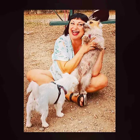 Stanza Nel Cuore Dei Tetti Di