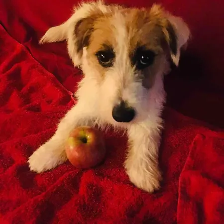 Stanza Nel Cuore Dei Tetti Di 홈스테이