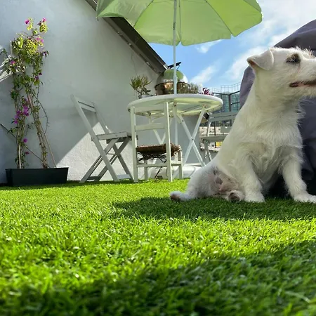 Stanza Nel Cuore Dei Tetti Di * Cenova