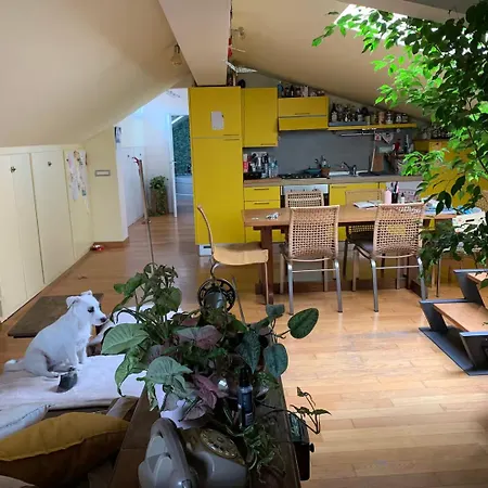 Проживание в семье Stanza Nel Cuore Dei Tetti Di *