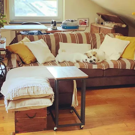 Stanza Nel Cuore Dei Tetti Di בית אירוח