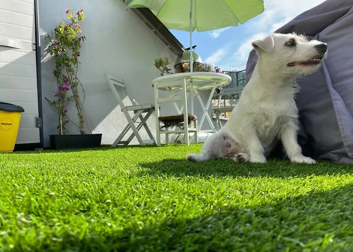 Stanza Nel Cuore Dei Tetti Di * ג'נובה