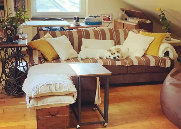 Stanza Nel Cuore Dei Tetti Di בית אירוח