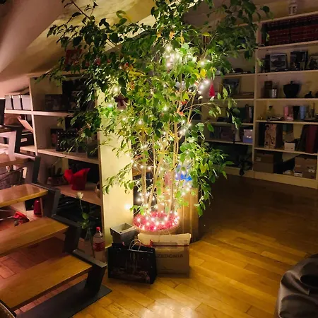 Stanza Nel Cuore Dei Tetti Di 热那亚