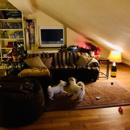 Quarto em Acomodações Particulares Stanza Nel Cuore Dei Tetti Di *